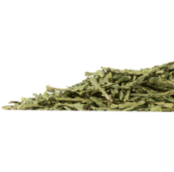 Cedar Leaf Tips