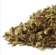 Chaparral Leaf