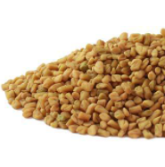 Fenugreek Seed
