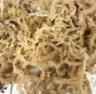 Irish Moss (dried whole)