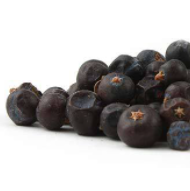 Juniper Berry