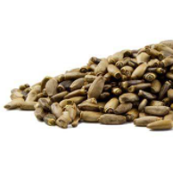 Milk Thistle Seed