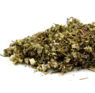 Mugwort Herb