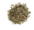 Partridgeberry