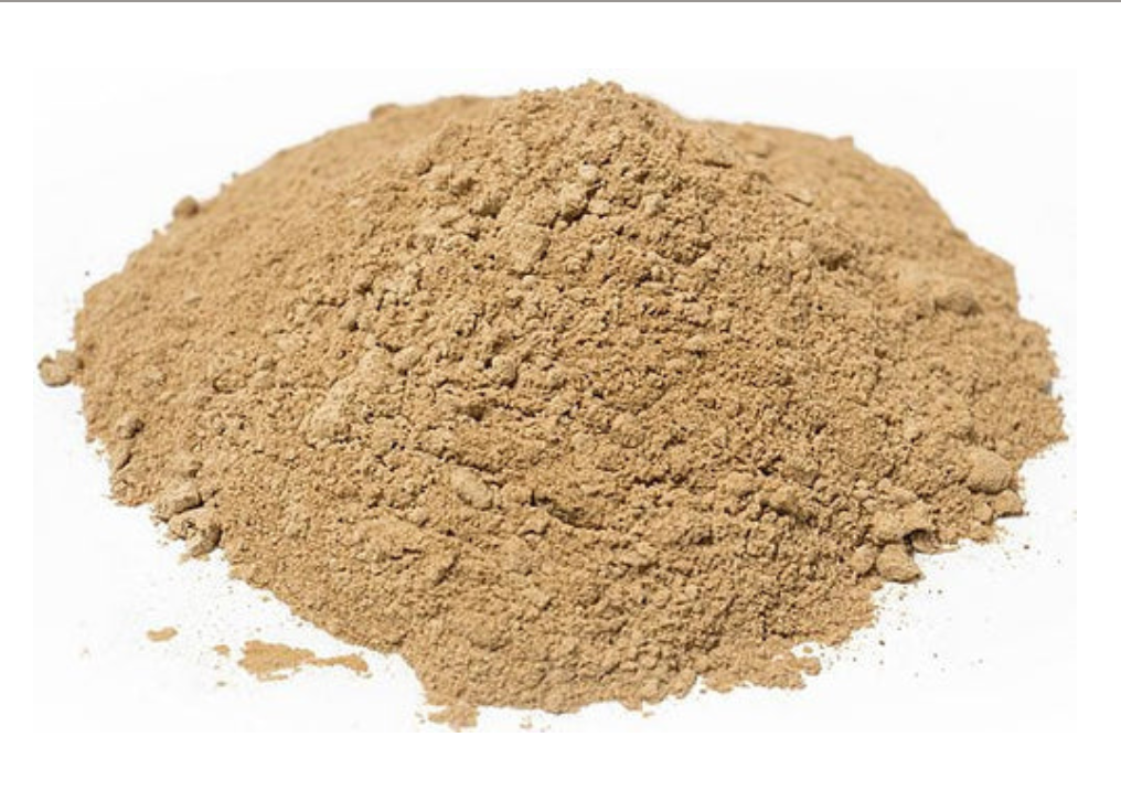Lions Mane Mushroom Powder
