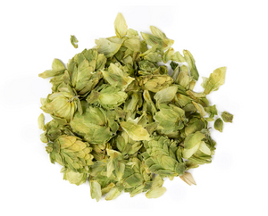 Hops Flowers