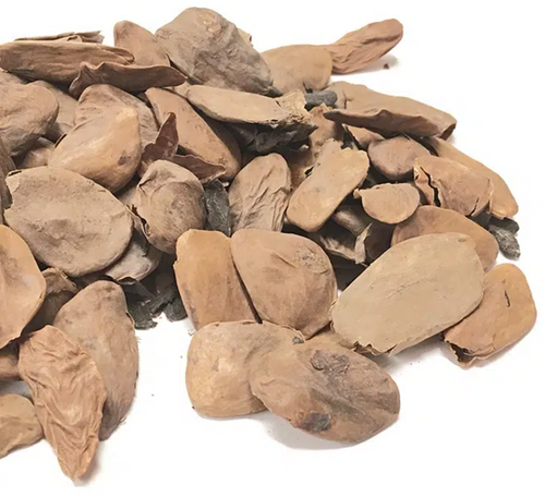 Akuamma Seeds Whole