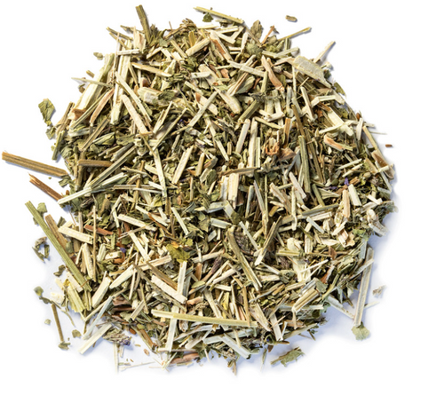 Blue Vervain