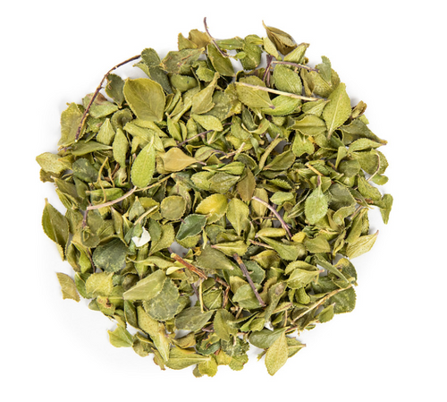 Buchu Leaf