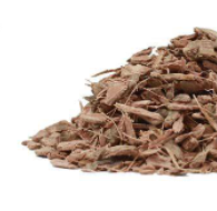 Witch Hazel Bark
